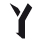 Y